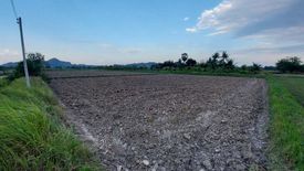 Land for sale in Don Sai, Ratchaburi