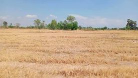 Land for sale in Den Yai, Chainat