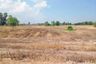Land for sale in Den Yai, Chainat