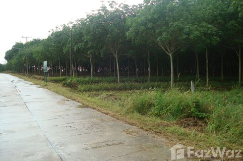 Land for sale in Kaset Suwan, Chonburi