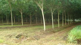 Land for sale in Kaset Suwan, Chonburi