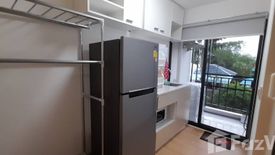 1 Bedroom Condo for rent in Bang Phut, Nonthaburi