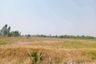 Land for sale in Den Yai, Chainat