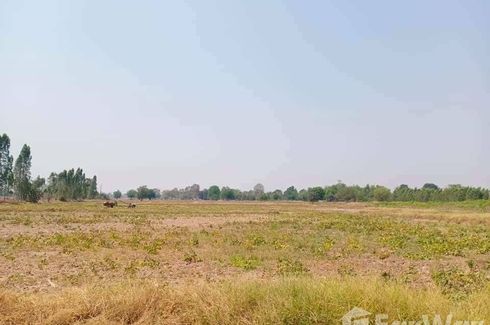 Land for sale in Den Yai, Chainat