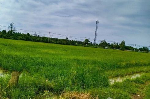 Land for sale in Pak Tho, Ratchaburi