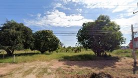 Land for sale in Na Klang, Nakhon Ratchasima