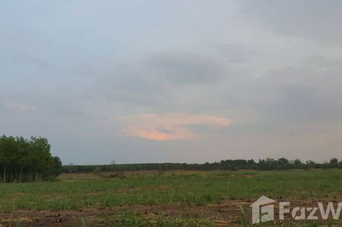 Land for sale in Nong Nam Sai, Sa Kaeo