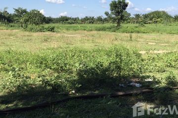 Land for sale in Mueang Chum, Chiang Rai