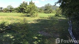 Land for sale in Mueang Chum, Chiang Rai