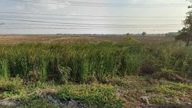 Land for sale in Rop Mueang, Prachin Buri