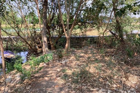 Land for sale in Hom Sin, Chachoengsao