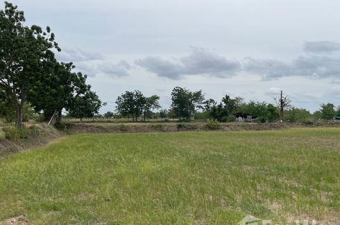 Land for sale in Non Thai, Nakhon Ratchasima