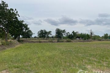 Land for sale in Non Thai, Nakhon Ratchasima