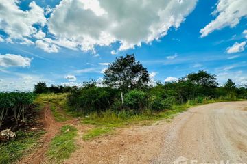 Land for sale in Sing, Kanchanaburi