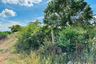 Land for sale in Sing, Kanchanaburi