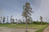 Land for sale in Pho Sai, Ubon Ratchathani