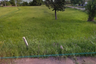 Land for sale in Pho Sai, Ubon Ratchathani