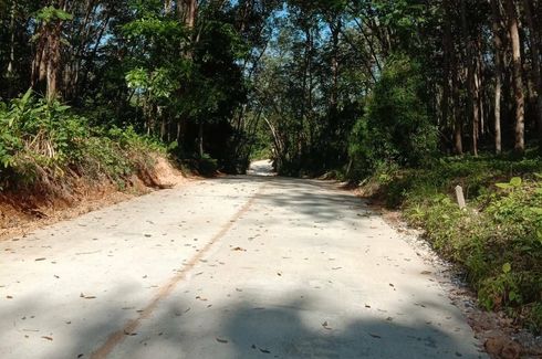 Land for sale in Ko Yao Noi, Phang Nga