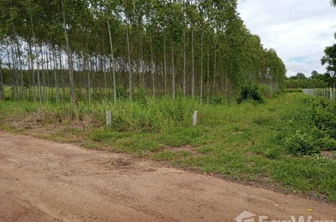 Land for sale in Ko Chan, Chonburi