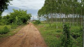 Land for sale in Ko Chan, Chonburi