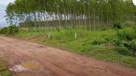 Land for sale in Ko Chan, Chonburi