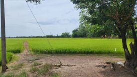 Land for sale in Sam Ko, Phra Nakhon Si Ayutthaya