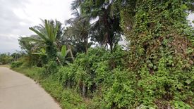 Land for sale in Phra Bat, Lampang