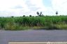 Land for sale in Suk Duean Ha, Chainat