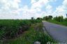 Land for sale in Suk Duean Ha, Chainat