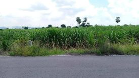 Land for sale in Suk Duean Ha, Chainat