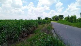 Land for sale in Suk Duean Ha, Chainat