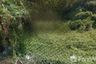 Land for sale in Na Mueang, Ratchaburi
