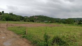 Land for sale in Mae La Noi, Mae Hong Son