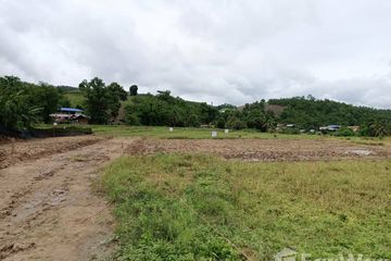 Land for sale in Mae La Noi, Mae Hong Son