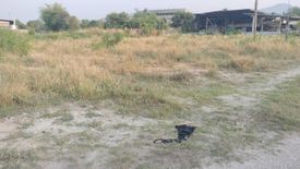 Land for sale in Nong Ri, Chonburi