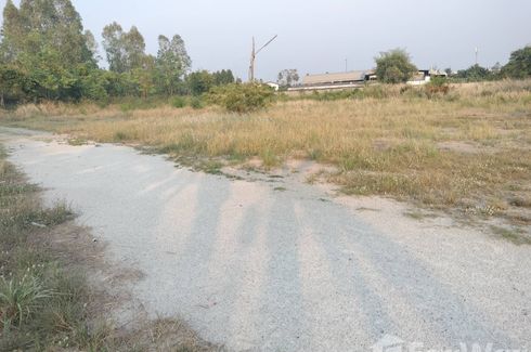 Land for sale in Nong Ri, Chonburi