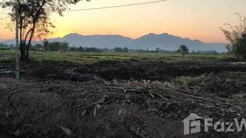 Land for sale in Si Mueang Chum, Chiang Rai