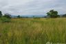 Land for sale in Phrommani, Nakhon Nayok
