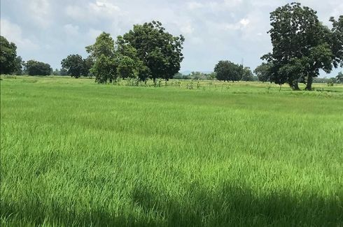 Land for sale in Bang Phueng, Lopburi