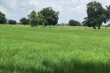 Land for sale in Bang Phueng, Lopburi