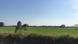 Land for sale in Bang Phueng, Lopburi