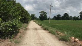 Land for sale in Bang Phueng, Lopburi