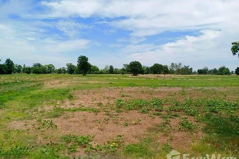 Land for sale in Suk Duean Ha, Chainat