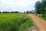 Land for sale in Suk Duean Ha, Chainat