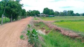 Land for sale in Suk Duean Ha, Chainat