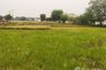 Land for sale in Bueng Khong Long, Bueng Kan