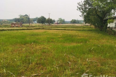 Land for sale in Bueng Khong Long, Bueng Kan