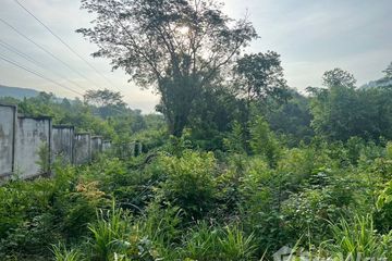 Land for sale in Kaeng Sopha, Phitsanulok