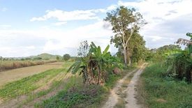 Land for sale in Pong Noi, Chiang Rai