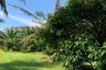 Land for sale in Bang Sai, Phang Nga